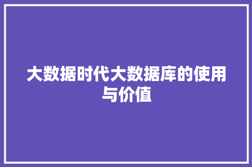 大数据时代大数据库的使用与价值