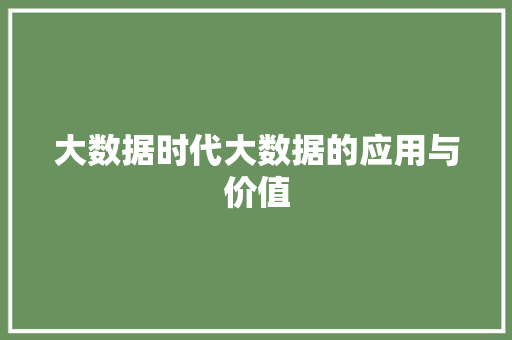 大数据时代大数据的应用与价值