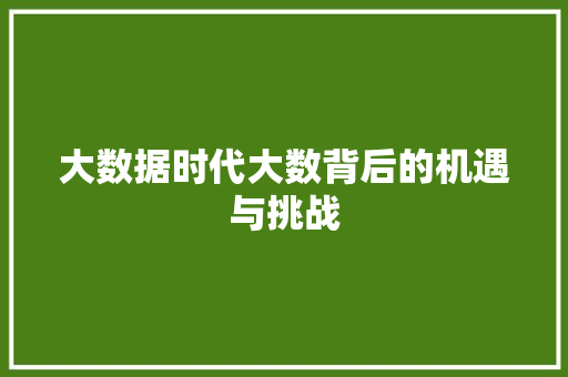 大数据时代大数背后的机遇与挑战