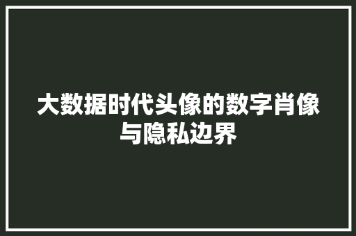 大数据时代头像的数字肖像与隐私边界