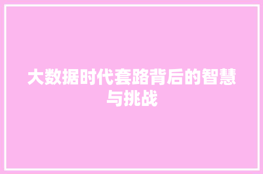 大数据时代套路背后的智慧与挑战
