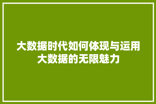 大数据时代如何体现与运用大数据的无限魅力