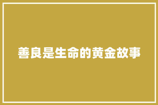 大数据时代如何打造高效数据驱动决策体系