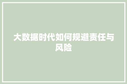 大数据时代如何规避责任与风险