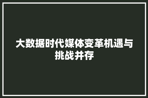 大数据时代媒体变革机遇与挑战并存