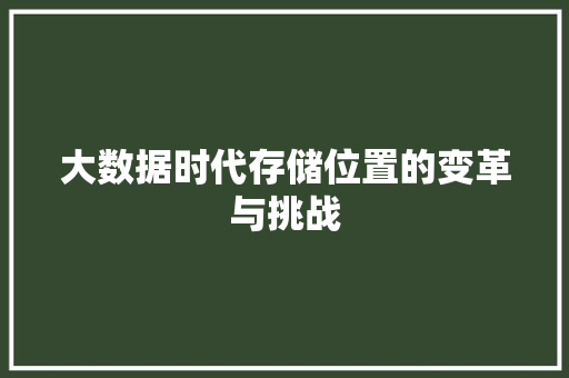 大数据时代存储位置的变革与挑战