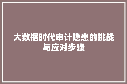 大数据时代审计隐患的挑战与应对步骤