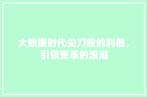 大数据时代尖刀般的利器，引领变革的浪潮