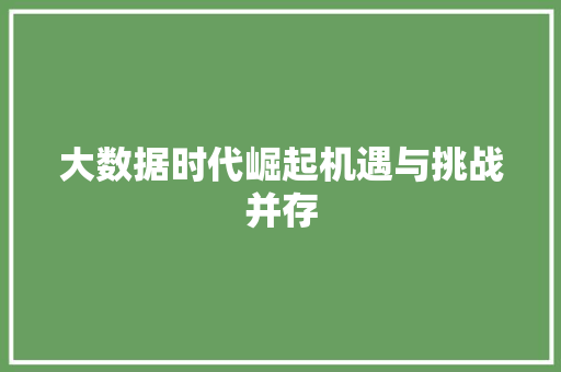 大数据时代崛起机遇与挑战并存