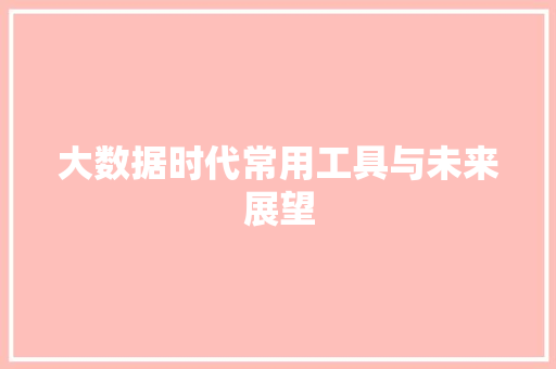 大数据时代常用工具与未来展望