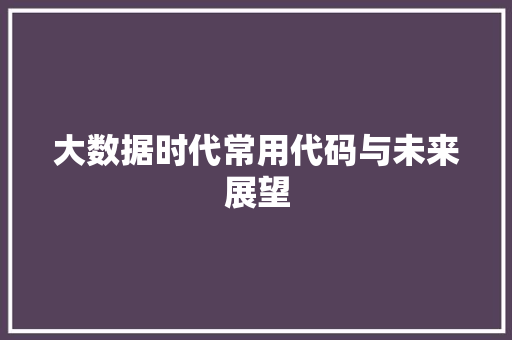 大数据时代常用代码与未来展望