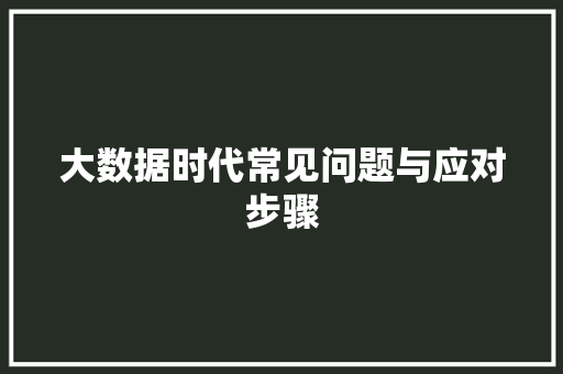 大数据时代常见问题与应对步骤