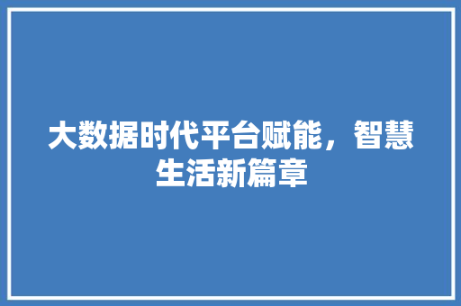 大数据时代平台赋能，智慧生活新篇章