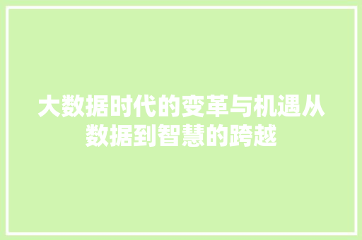大数据时代的变革与机遇从数据到智慧的跨越