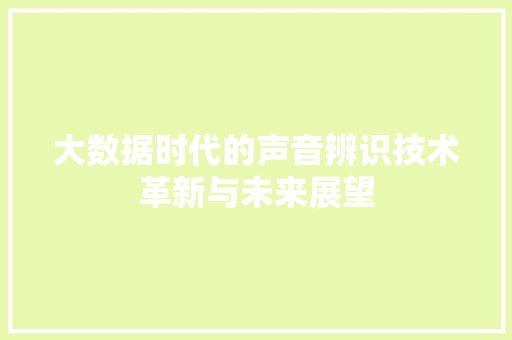 大数据时代的声音辨识技术革新与未来展望