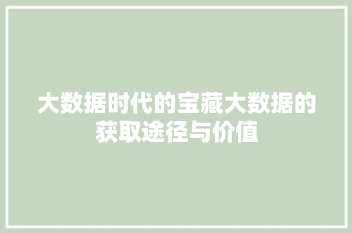 大数据时代的宝藏大数据的获取途径与价值