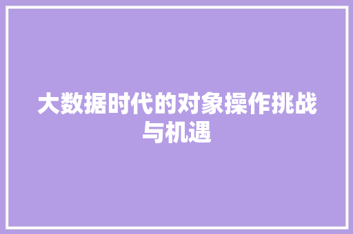 大数据时代的对象操作挑战与机遇
