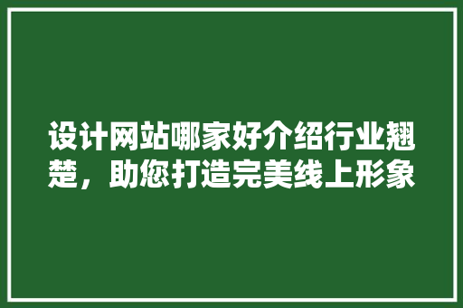 设计网站哪家好介绍行业翘楚，助您打造完美线上形象 网站建设