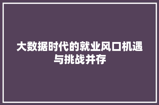 大数据时代的就业风口机遇与挑战并存