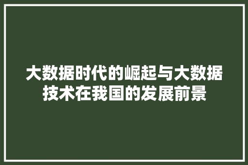 大数据时代的崛起与大数据技术在我国的发展前景