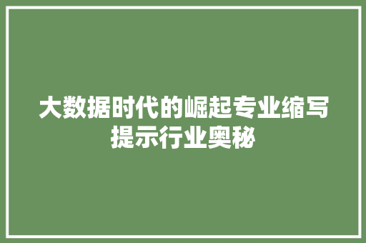大数据时代的崛起专业缩写提示行业奥秘