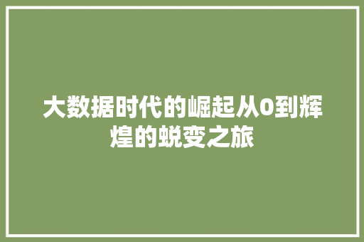大数据时代的崛起从0到辉煌的蜕变之旅