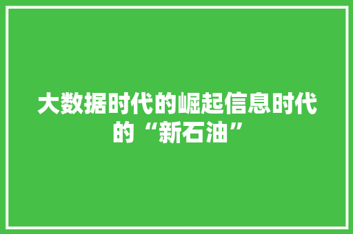 大数据时代的崛起信息时代的“新石油”