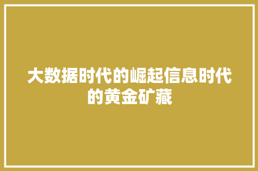 大数据时代的崛起信息时代的黄金矿藏