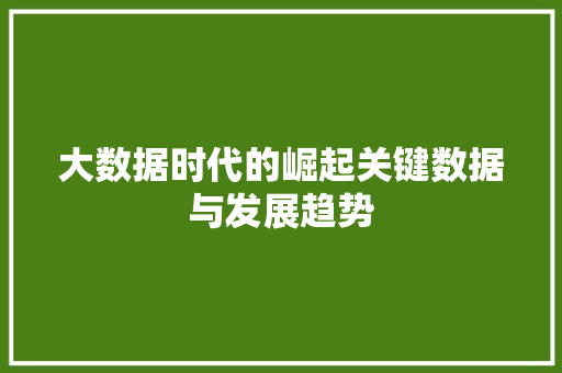 大数据时代的崛起关键数据与发展趋势