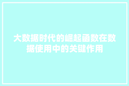大数据时代的崛起函数在数据使用中的关键作用