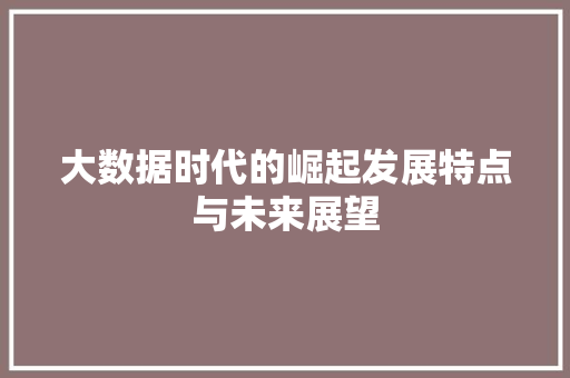大数据时代的崛起发展特点与未来展望