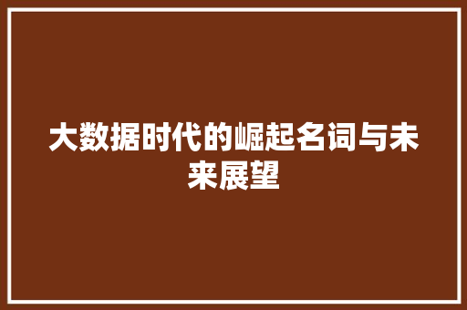 大数据时代的崛起名词与未来展望
