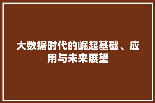 大数据时代的崛起基础、应用与未来展望