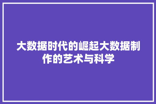 大数据时代的崛起大数据制作的艺术与科学