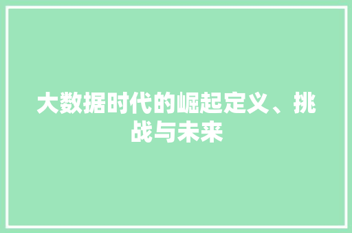 大数据时代的崛起定义、挑战与未来