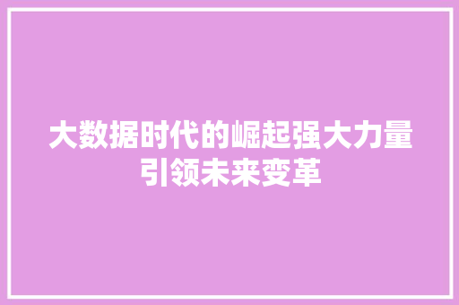 大数据时代的崛起强大力量引领未来变革