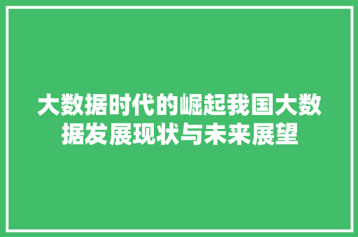 大数据时代的崛起我国大数据发展现状与未来展望