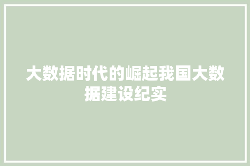 大数据时代的崛起我国大数据建设纪实