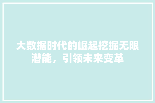 大数据时代的崛起挖掘无限潜能，引领未来变革