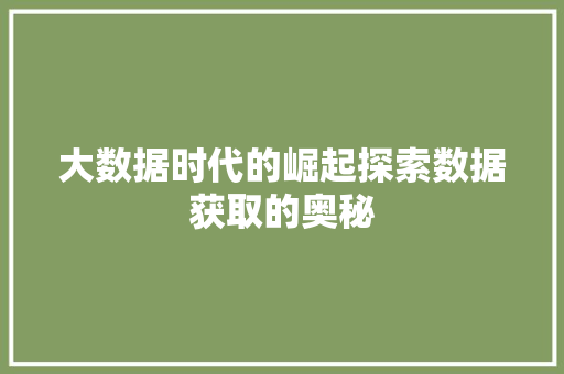 大数据时代的崛起探索数据获取的奥秘