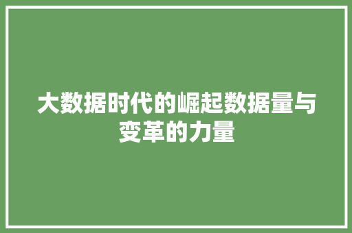 大数据时代的崛起数据量与变革的力量