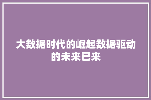 大数据时代的崛起数据驱动的未来已来