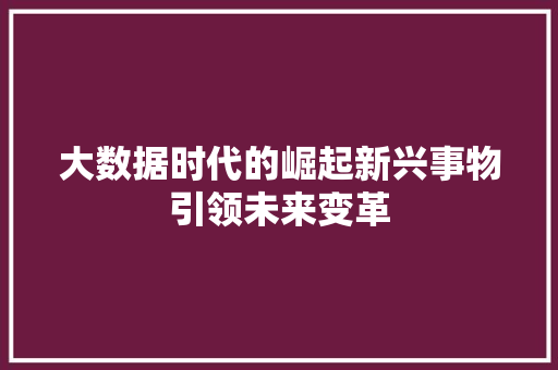 大数据时代的崛起新兴事物引领未来变革