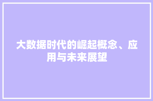 大数据时代的崛起概念、应用与未来展望