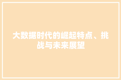 大数据时代的崛起特点、挑战与未来展望