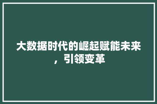 大数据时代的崛起赋能未来，引领变革