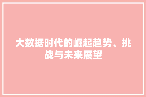 大数据时代的崛起趋势、挑战与未来展望