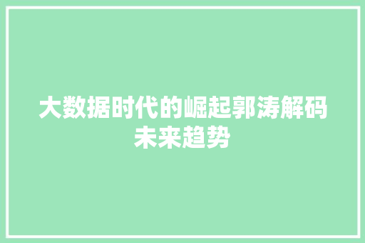 大数据时代的崛起郭涛解码未来趋势