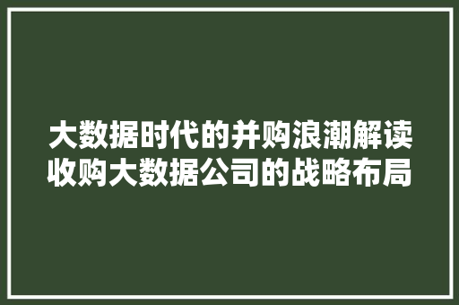 大数据时代的并购浪潮解读收购大数据公司的战略布局