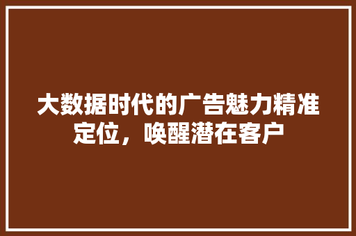 大数据时代的广告魅力精准定位，唤醒潜在客户